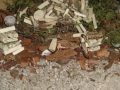 Multitalent Wald (111)