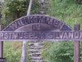 SAM_9729
