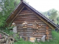 SAM_9770