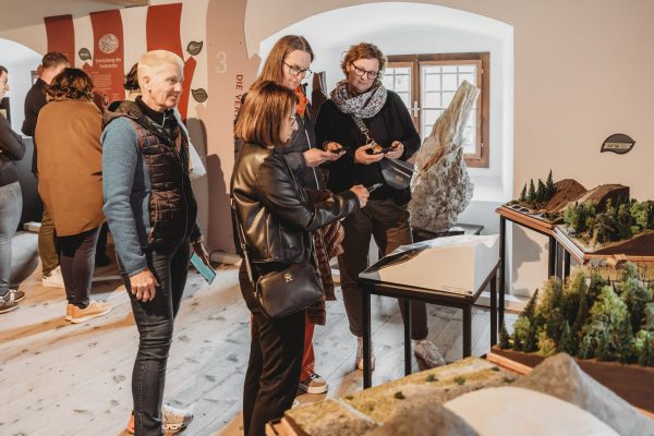 Station Zukunft des Waldes – AR-Station für App-Nutzung Station Zukunft des Waldes – AR-Station für App-Nutzung