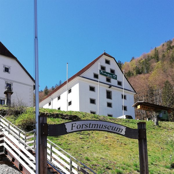 Forstmuseum Silvanum Großreifling